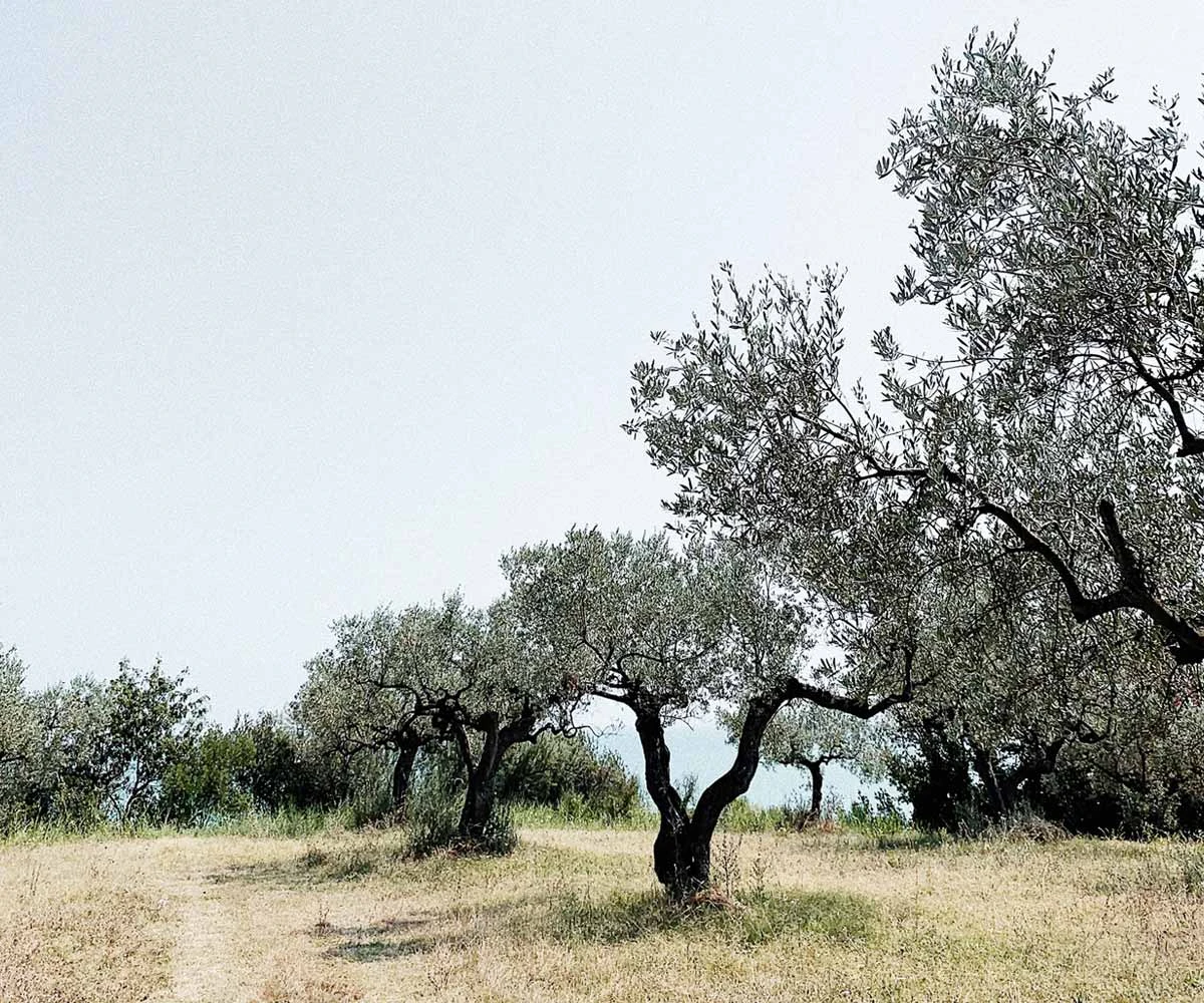 Le nostre scelte